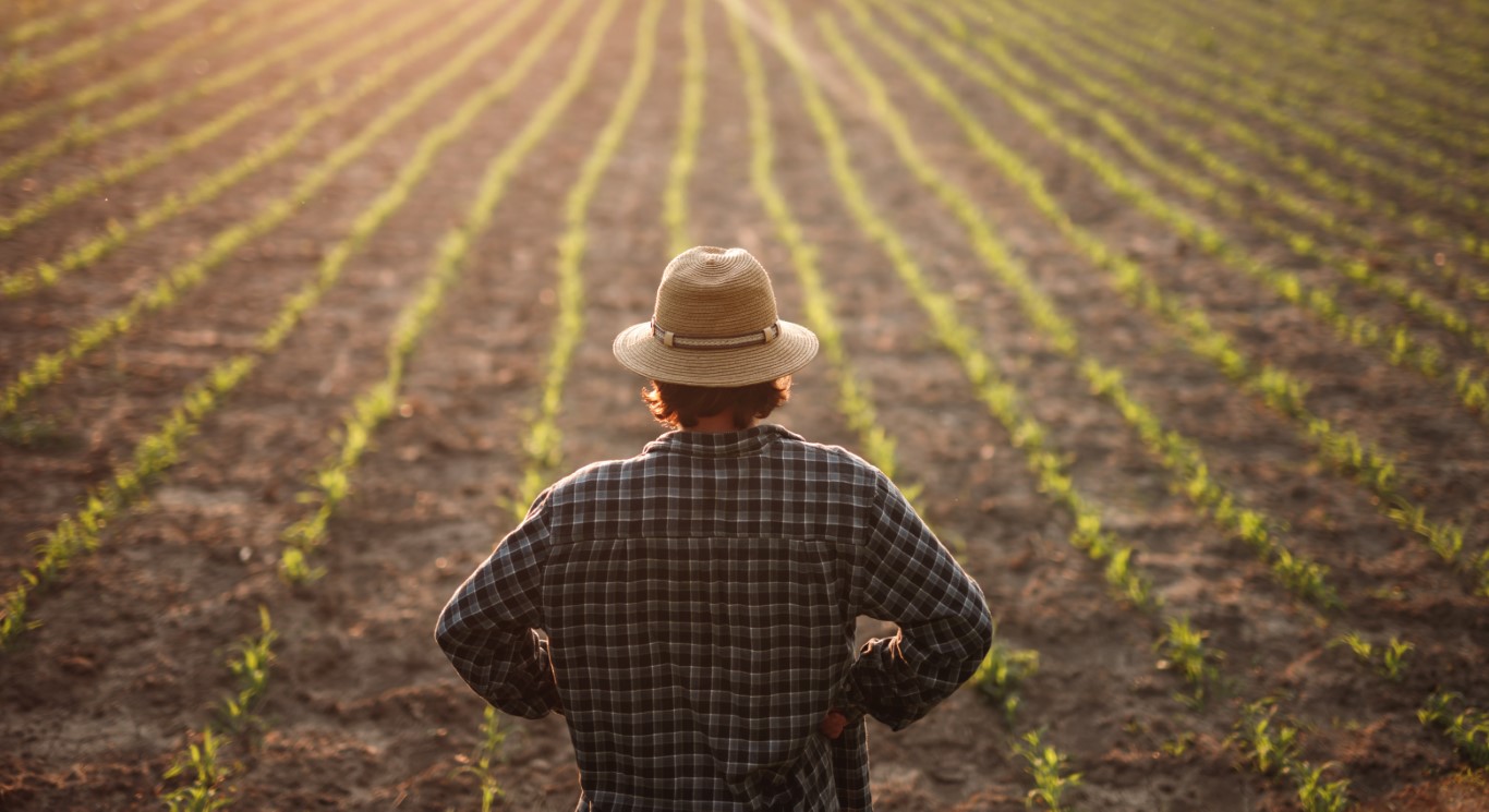 Sul Informação - Agricultores do Algarve criam uma Federação para unir associações do setor