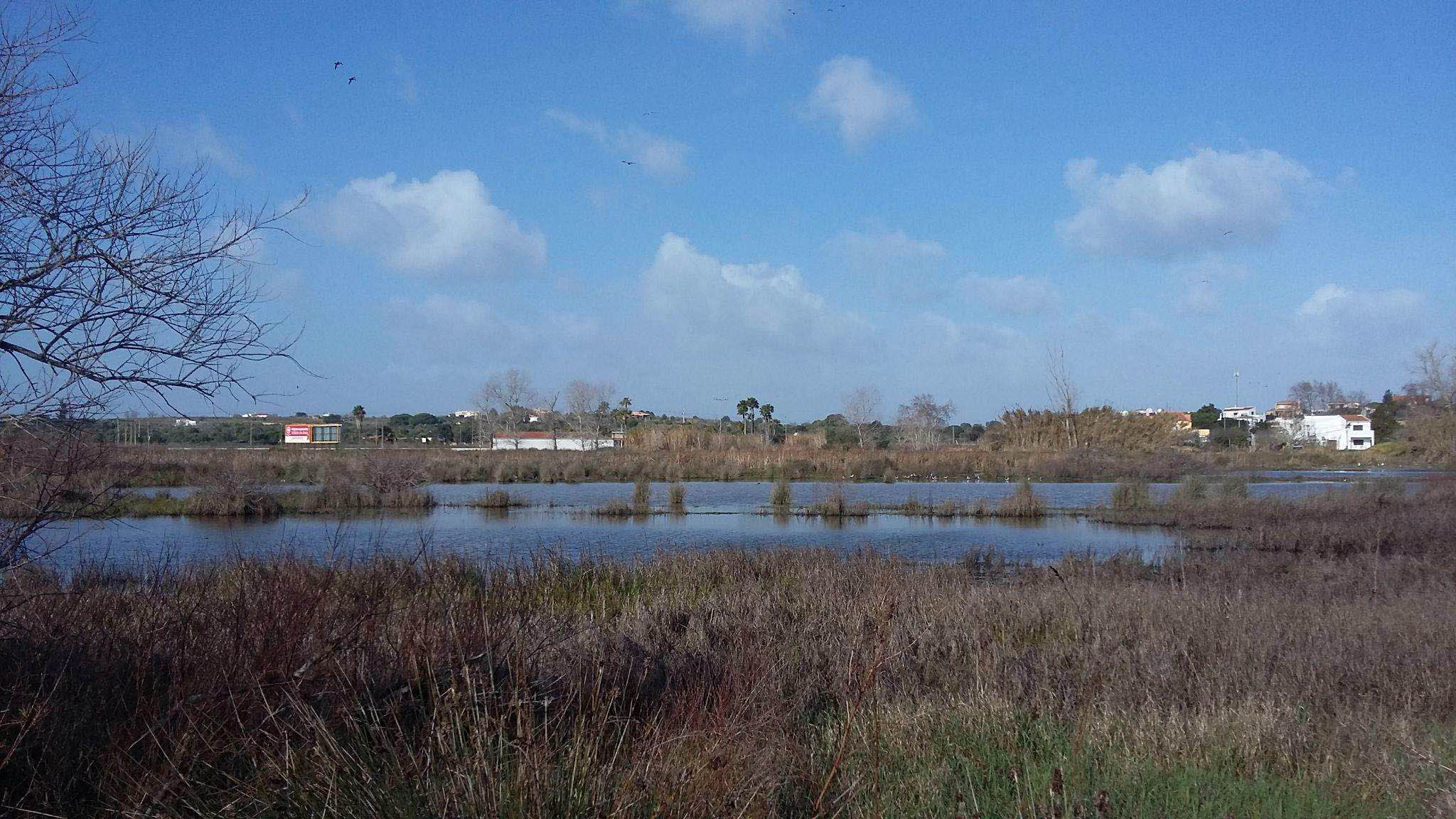 Sul Informação - Após a suspensão das obras, a biodiversidade «voltou em força» às Alagoas Brancas