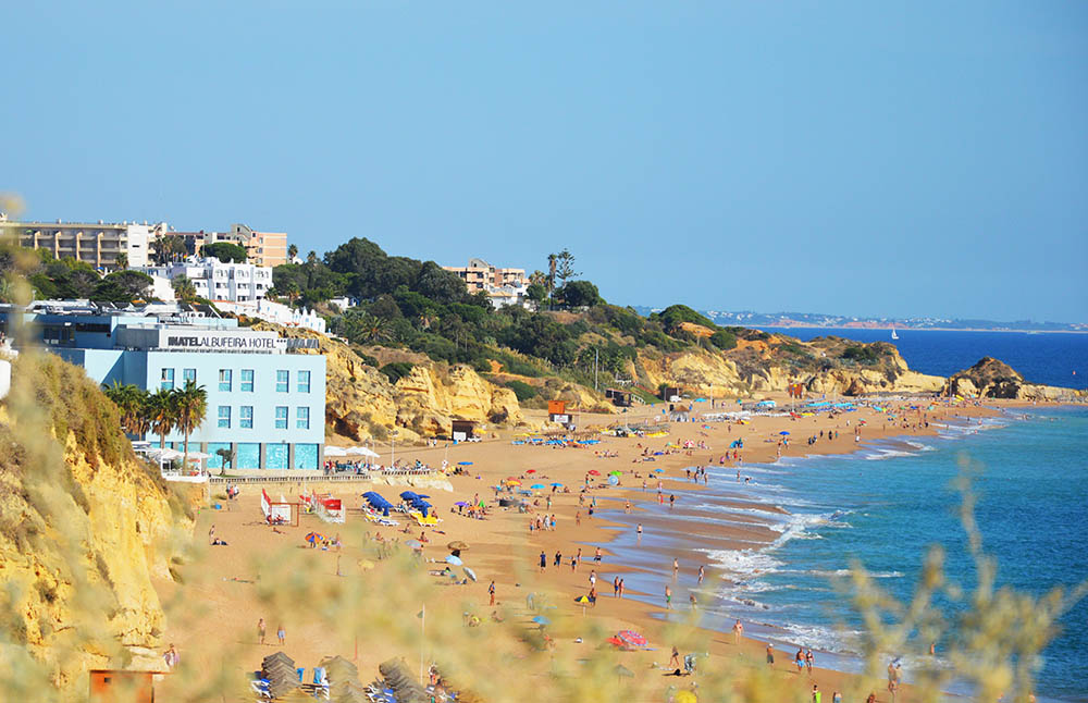 Sul Informação - Quercus organiza limpeza de praia em Albufeira