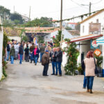Sul Informação - Fotogaleria: Natal “Verde” e à antiga? É na Aldeia de Parises
