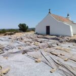 Sul Informação - Mértola: escavações arqueológicas na aldeia da Mesquita já terminaram