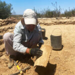 Sul Informação - Mértola: escavações arqueológicas na aldeia da Mesquita já terminaram