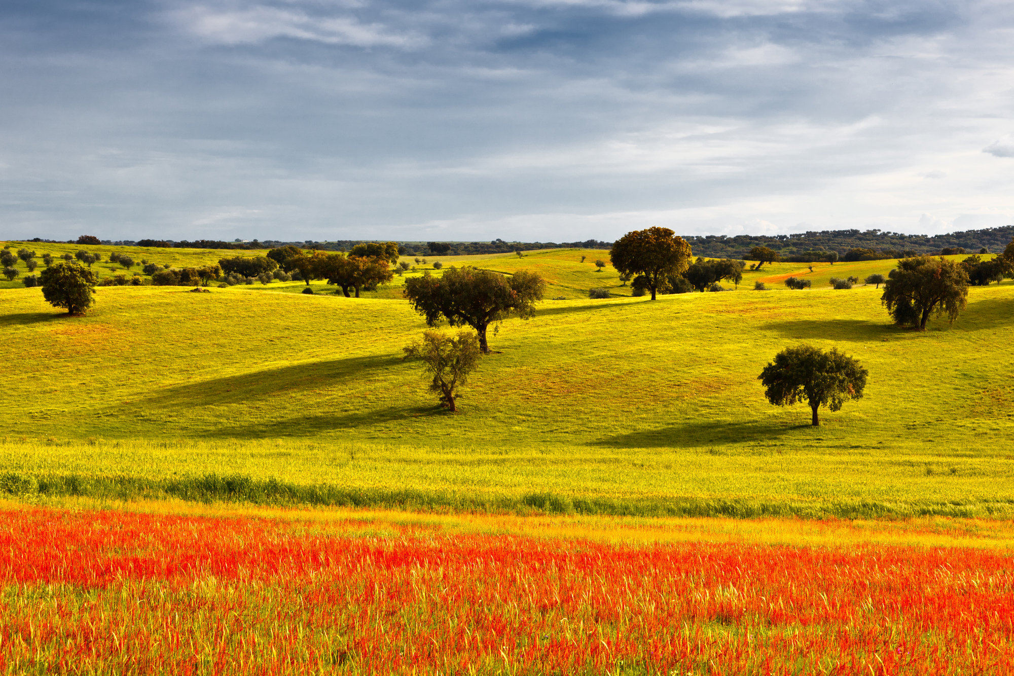 Sul Informação - Alentejo é única região onde nenhum município cobra taxa turística, no Algarve só sete dos 16 municípios cobram