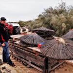 Sul Informação - Ilha de Tavira “lambe feridas” do temporal enquanto espera pelo próximo