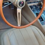 Sul Informação - 70 anos de história automobilística clássica desfilaram por São Brás de Alportel