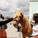Sul Informação - Oferta de turismo de natureza do Algarve já se mostra em Tavira