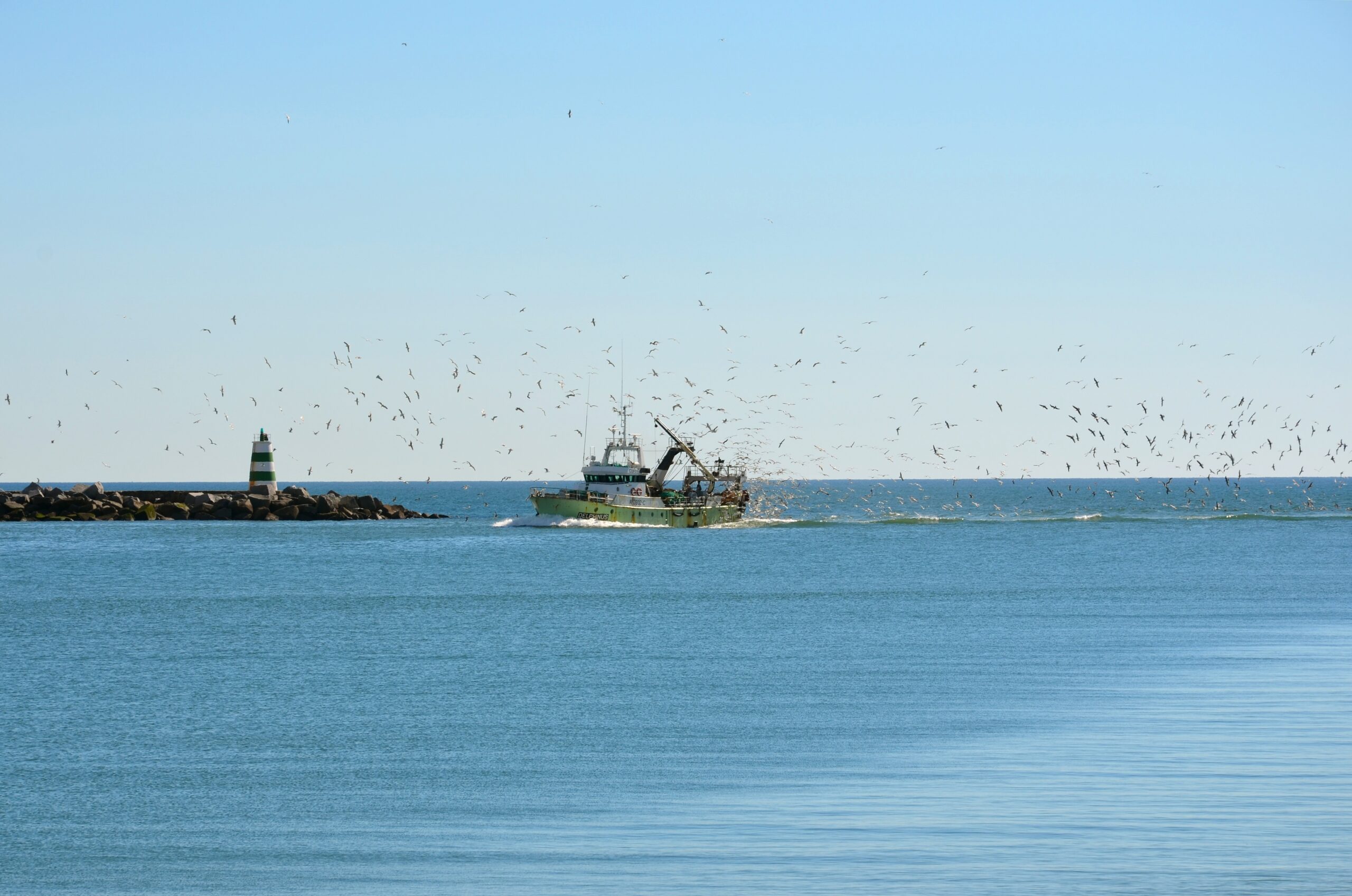 Sul Informação - Covid-19: Apoios às paragens temporárias das embarcações de pesca começam a ser pagos