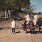 Sul Informação - Debate encerra 1ª fase do evento Algarve + Sustentável