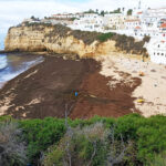 Sul Informação - Câmara de Lagoa vai limpar «300 metros cúbicos» de algas na Praia do Carvoeiro
