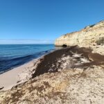 Sul Informação - Limpeza das algas já começou na Praia do Carvoeiro