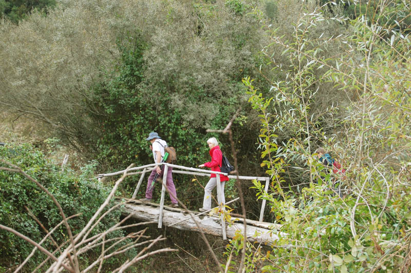 Sul Informação - Grupo de Ação Local Adere questiona ausência de turismo de natureza, saúde e bem-estar no PENT para o Algarve