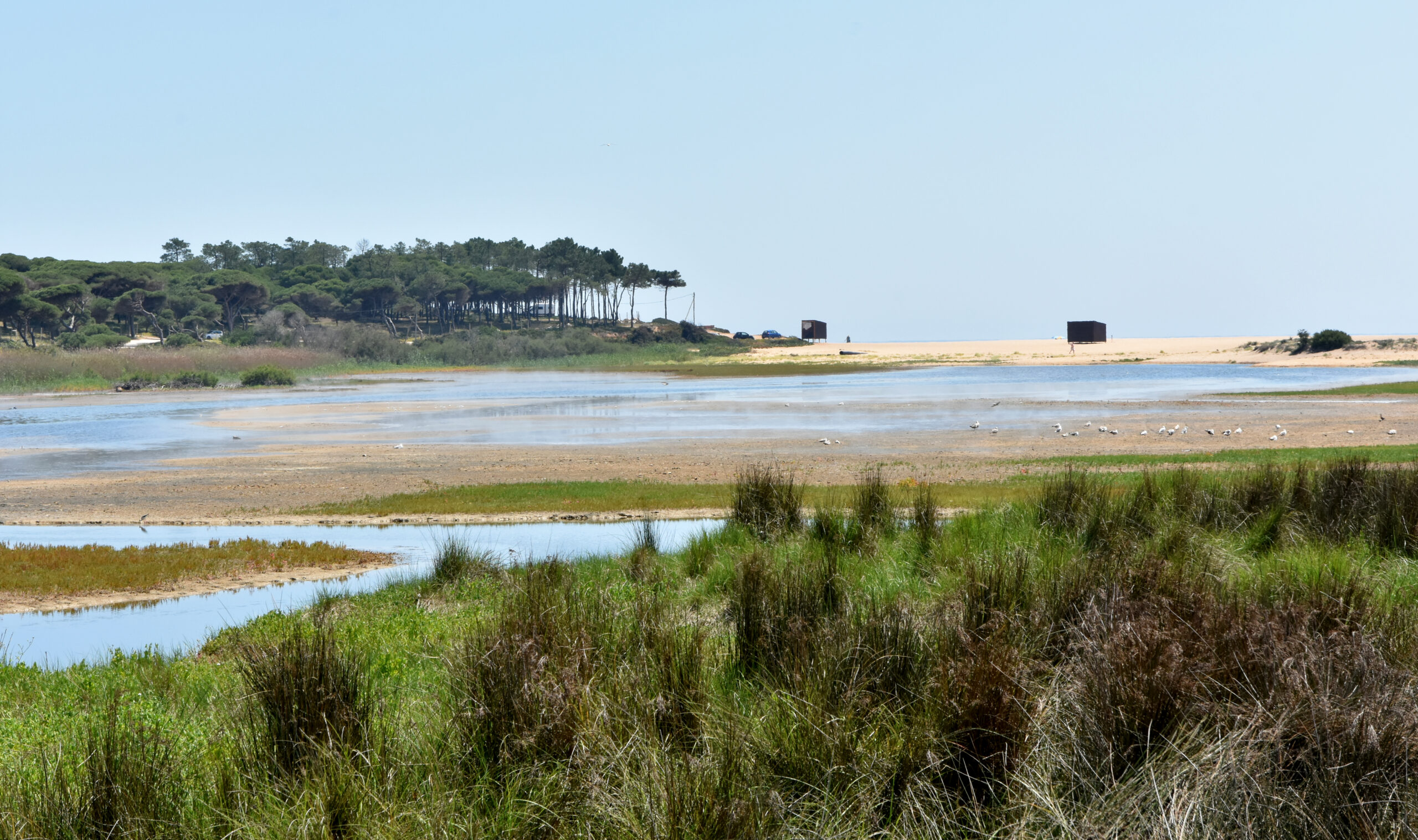 Sul Informação - Loulé lança passatempo para promover futura reserva natural da foz do Almargem e Trafal