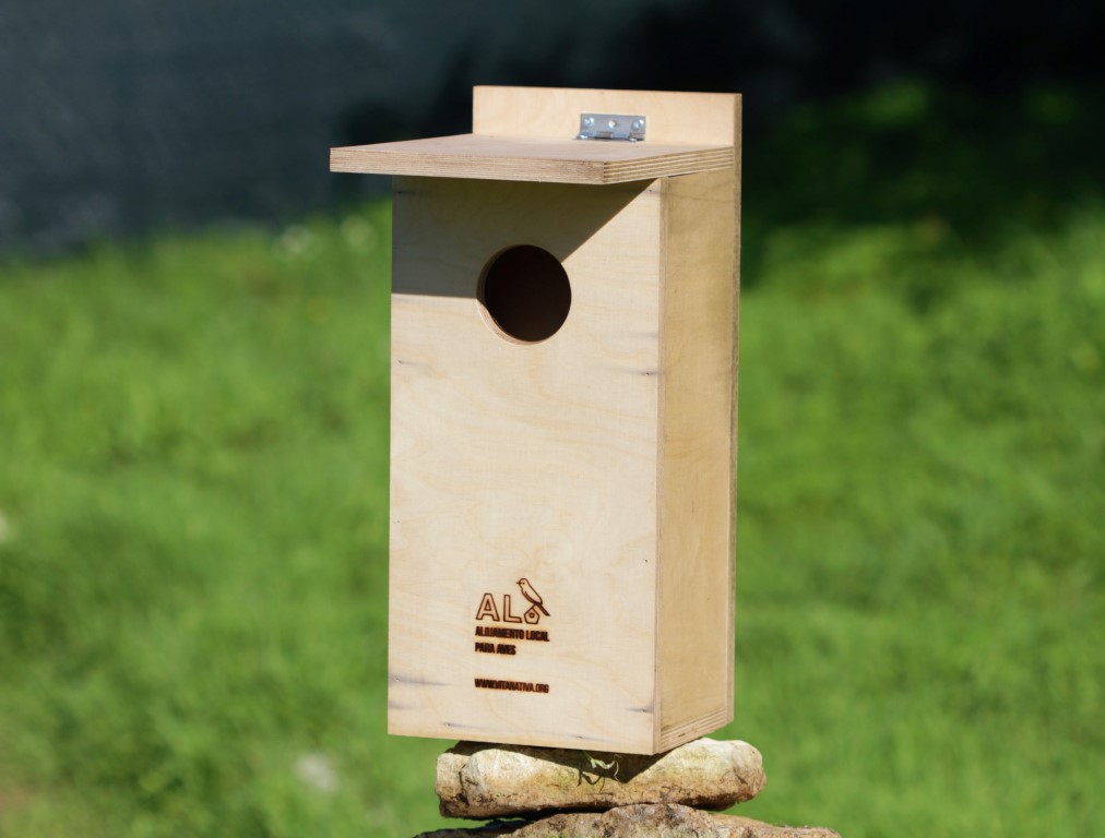 Sul Informação - Primeiro “Alojamento Local para Aves” vai ser inaugurado em Olhão