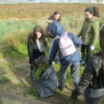 Sul Informação - Alunos do Agrupamento de Escolas da Bemposta arrancaram toneladas de chorão em Alvor