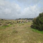 Sul Informação - Alunos do Agrupamento de Escolas da Bemposta arrancaram toneladas de chorão em Alvor