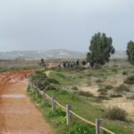 Sul Informação - Alunos do Agrupamento de Escolas da Bemposta arrancaram toneladas de chorão em Alvor