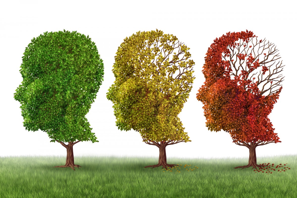 Sul Informação - Investigadores portugueses identificam novos “sinalizadores” da doença de Alzheimer
