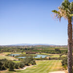 Sul Informação - Redução de áreas verdes e rega não impediu Amendoeira Golf de crescer em número de voltas