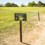 Sul Informação - Redução de áreas verdes e rega não impediu Amendoeira Golf de crescer em número de voltas