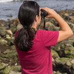 Sul Informação - Festival de Observação de Aves regressa a Sagres e traz novidades com ele