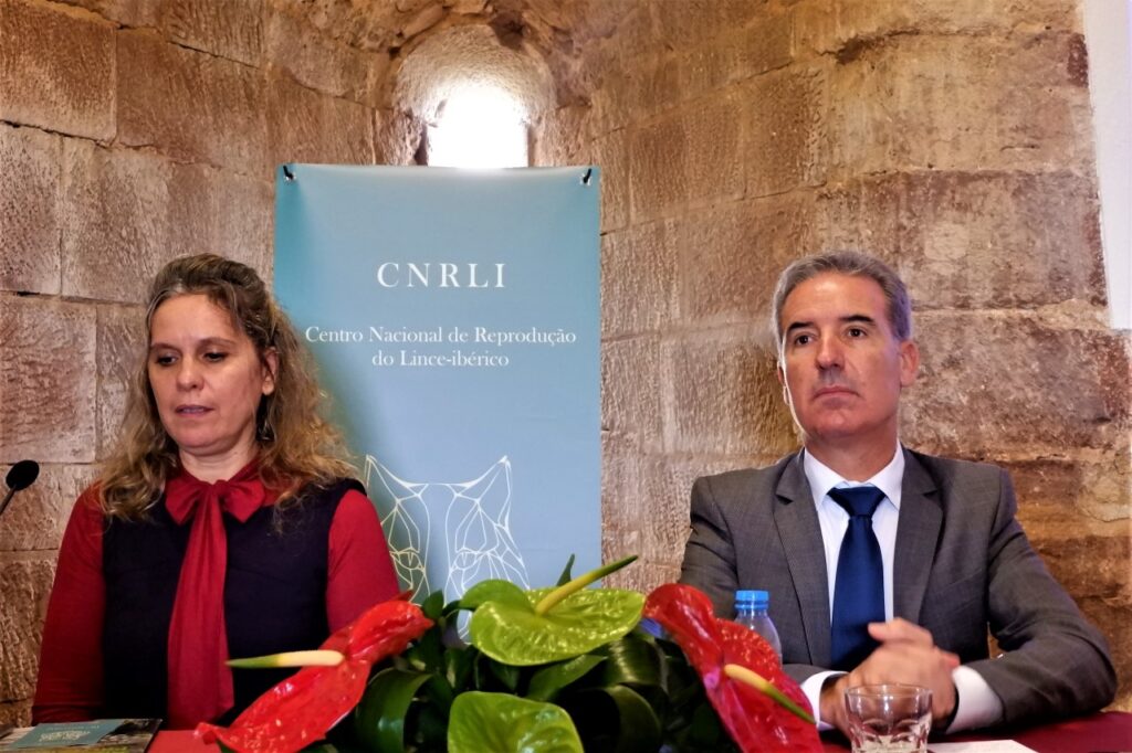 Sul Informação
