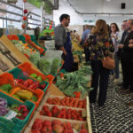 Sul Informação - «Há vida no mercado», mas é difícil contrariar «a geração microondas»