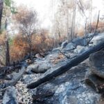 Sul Informação - Caminho antigo entre as Caldas de Monchique e a Picota redescoberto para acolher turistas de natureza