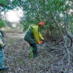 Sul Informação - Caminho antigo entre as Caldas de Monchique e a Picota redescoberto para acolher turistas de natureza