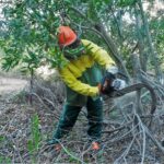 Sul Informação - Caminho antigo entre as Caldas de Monchique e a Picota redescoberto para acolher turistas de natureza