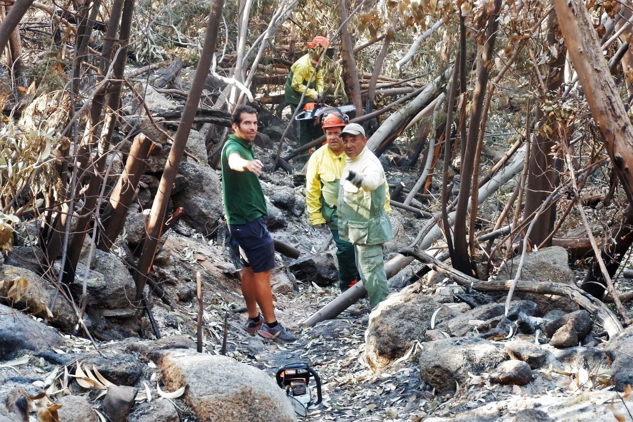 Sul Informação - Caminho antigo entre as Caldas de Monchique e a Picota redescoberto para acolher turistas de natureza