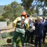 Sul Informação - Brigada de Sapadores Florestais que demonstrou limpeza da floresta a António Costa ainda não foi paga pelo Governo