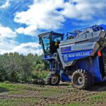 Sul Informação - No Alentejo, há quem mantenha a tradição de «produzir dos melhores azeites do mundo»