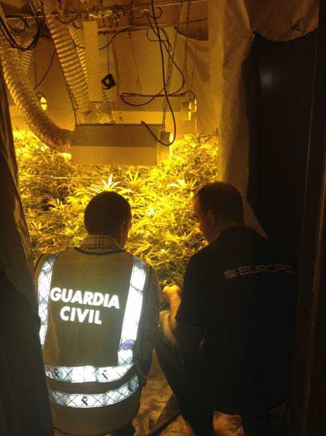 Sul Informação - União Europeia é centro produtor de drogas sintéticas e de canábis