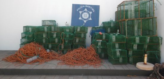 Sul Informação - Polícia Marítima apreende 100 quilos de pepinos do mar