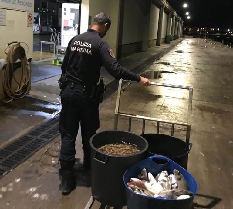 Sul Informação - Apreendidos 54 quilos de peixe e lingueirão apanhados ilegalmente em Alvor