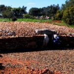 Sul Informação - Monumentos do Algarve recostam-se no DiVaM de olhos postos no futuro