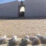Sul Informação - A Lontra, a Sereia e o Alfaiate foram até às escolas de Lagoa em mais uma ação do PEEA|PARTe
