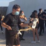Sul Informação - A Lontra, a Sereia e o Alfaiate foram até às escolas de Lagoa em mais uma ação do PEEA|PARTe