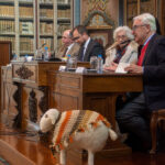 Sul Informação - Terras sem Sombra: os checos, a ovelha mascote e uma surpresa em pleno Alentejo