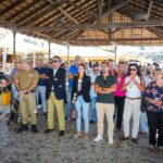 Sul Informação - Albufeira entra no novo ano com espetáculo inovador, Amor Electro e The Black Mamba