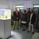 Sul Informação - Aquário Hope é «apenas um bocadinho de luz que nós trazemos» ao Hospital de Portimão