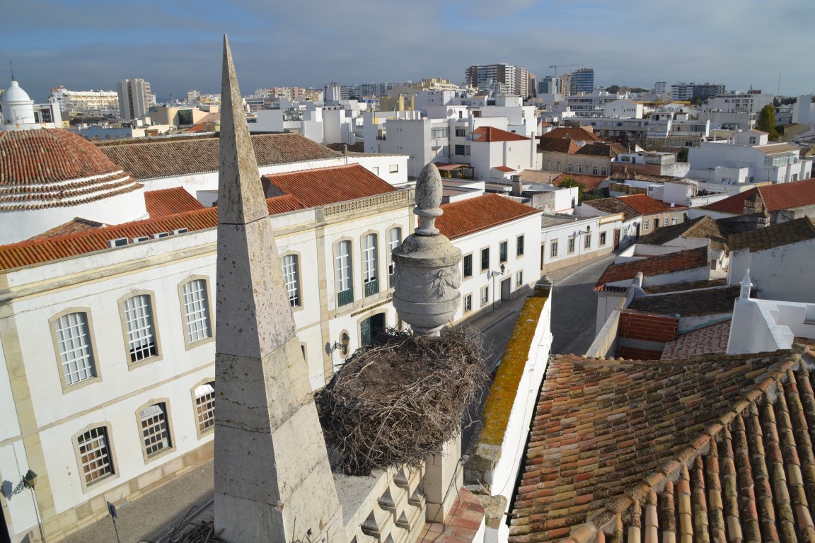 Sul Informação - Faro volta a mostrar o seu potencial turístico aos profissionais do setor