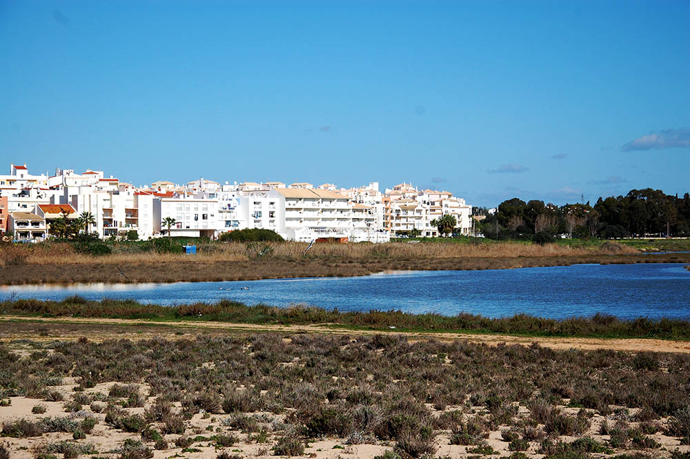 Sul Informação - Parque Urbano de Armação de Pêra terá apoio de especialista em cheias que ajudou Lisboa