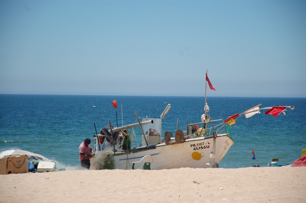 Sul Informação - DRAP Algarve promove visitas a casos de sucesso do setor agroalimentar e economia do mar