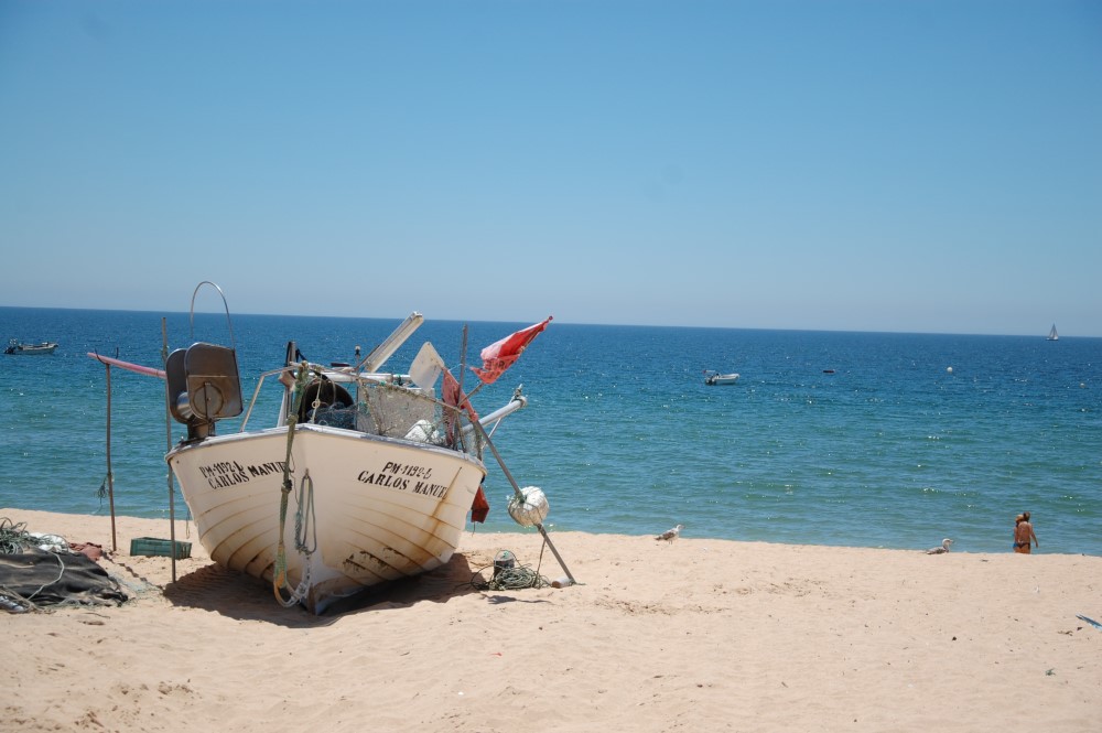 Sul Informação - Quarpesca é «completamente contra» Área Marinha Protegida em Armação de Pêra