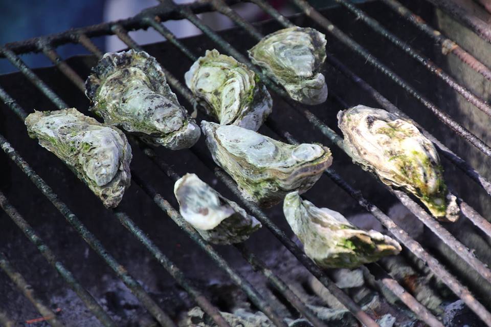 Sul Informação - Arraial escutista leva gastronomia típica e música ao Jardim Pescador Olhanense