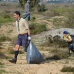 Sul Informação - 200 jovens escuteiros e bombeiros arrancaram toneladas de chorão das dunas de Alvor