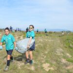 Sul Informação - 200 jovens escuteiros e bombeiros arrancaram toneladas de chorão das dunas de Alvor