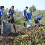 Sul Informação - 200 jovens escuteiros e bombeiros arrancaram toneladas de chorão das dunas de Alvor