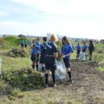 Sul Informação - 200 jovens escuteiros e bombeiros arrancaram toneladas de chorão das dunas de Alvor